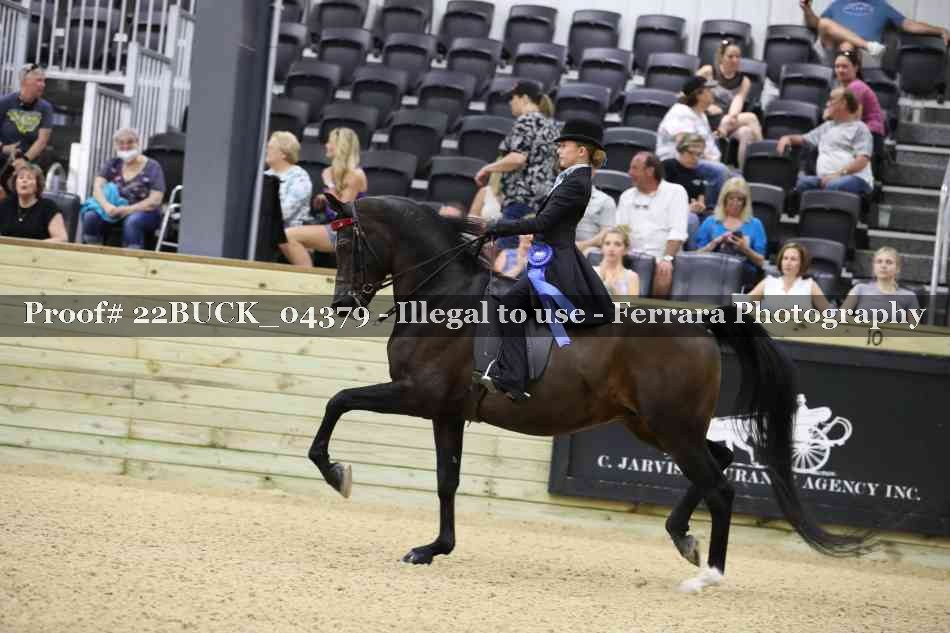Proof 22BUCK_04379