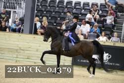 22BUCK_04379 proof