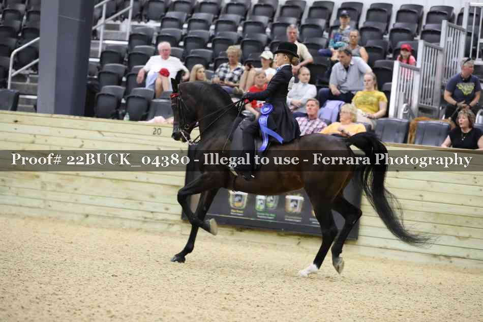 Proof 22BUCK_04380