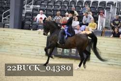 22BUCK_04380 proof