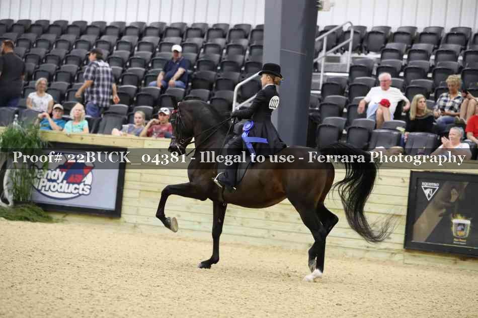 Proof 22BUCK_04381