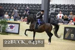 22BUCK_04381 proof