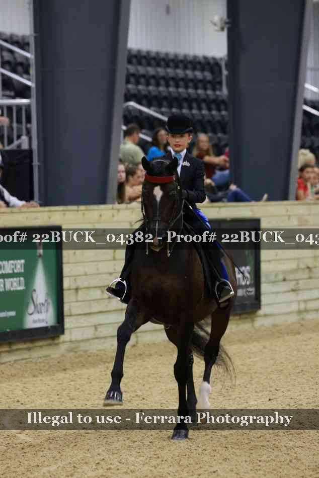 Proof 22BUCK_04382