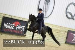 22BUCK_04383 proof