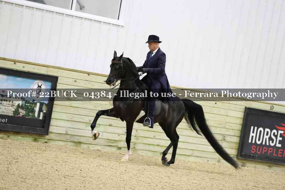 Proof 22BUCK_04384