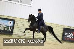 22BUCK_04384 proof