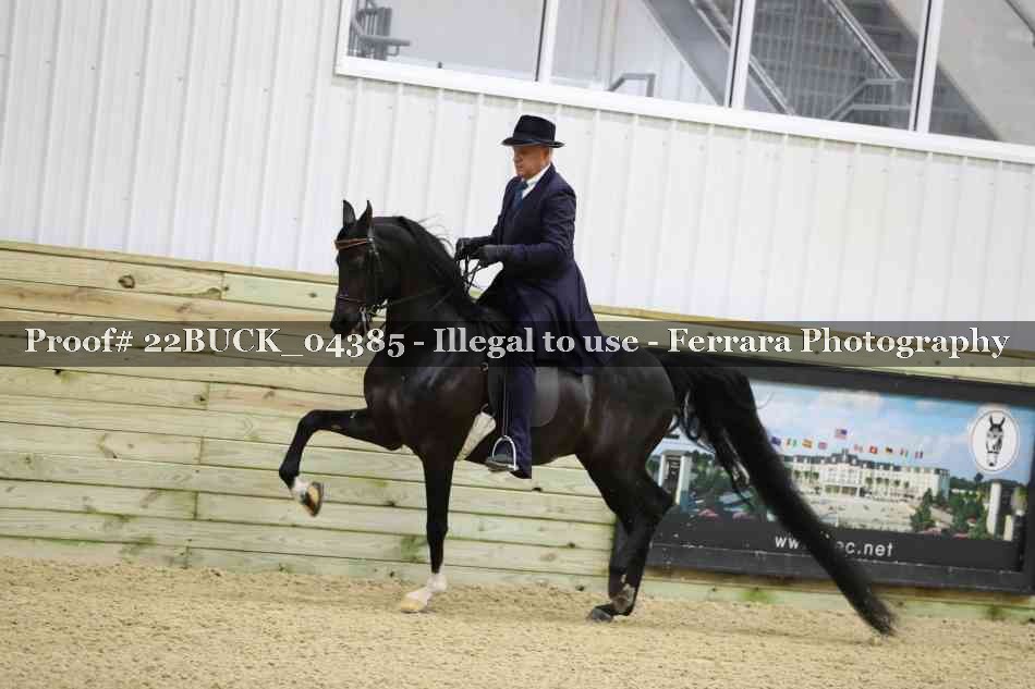 Proof 22BUCK_04385