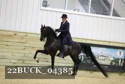 22BUCK_04385 proof
