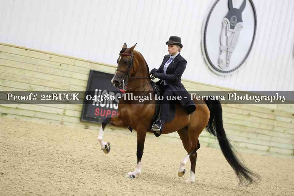 Proof 22BUCK_04386