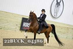 22BUCK_04386 proof