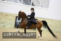 22BUCK_04387 proof