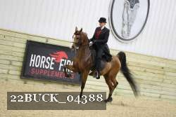 22BUCK_04388 proof