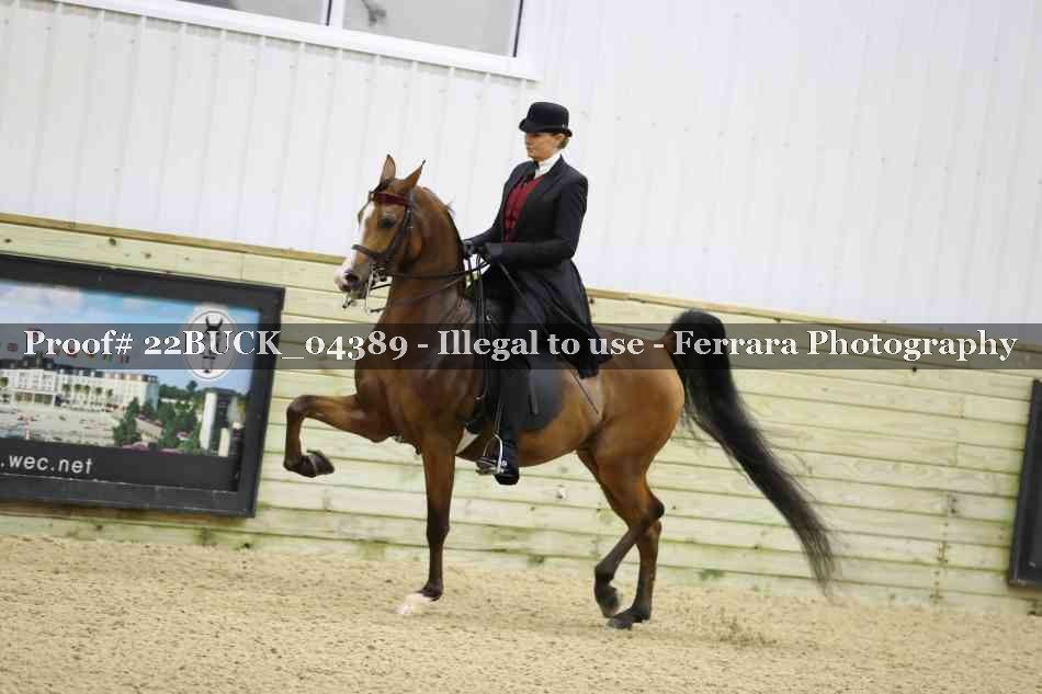 Proof 22BUCK_04389
