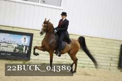 22BUCK_04389 proof