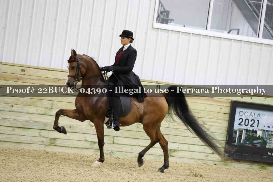 Proof 22BUCK_04390