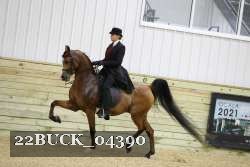 22BUCK_04390 proof