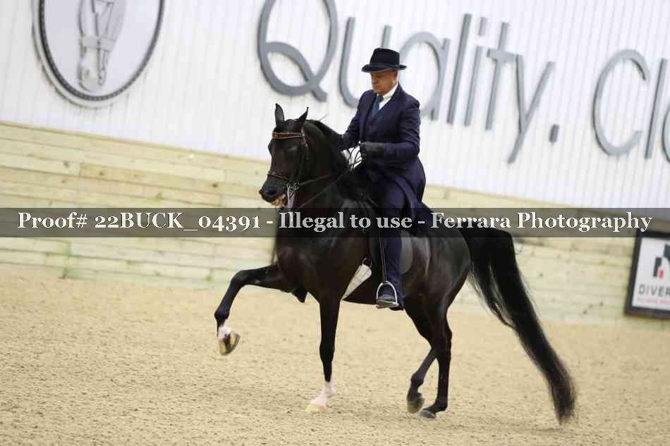 Proof 22BUCK_04391