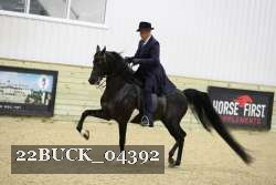 22BUCK_04392 proof