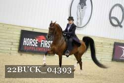 22BUCK_04393 proof