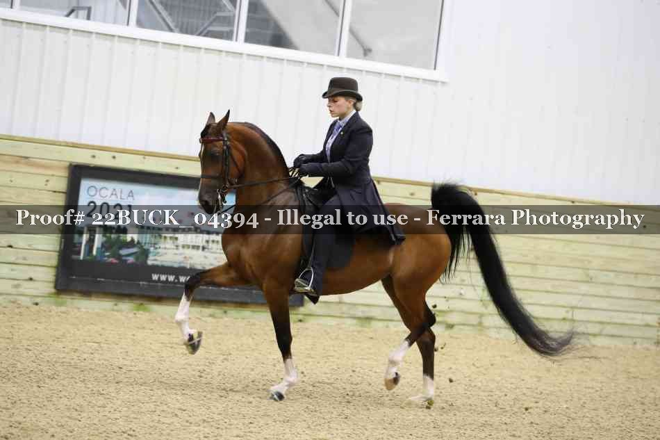 Proof 22BUCK_04394