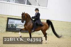 22BUCK_04394 proof