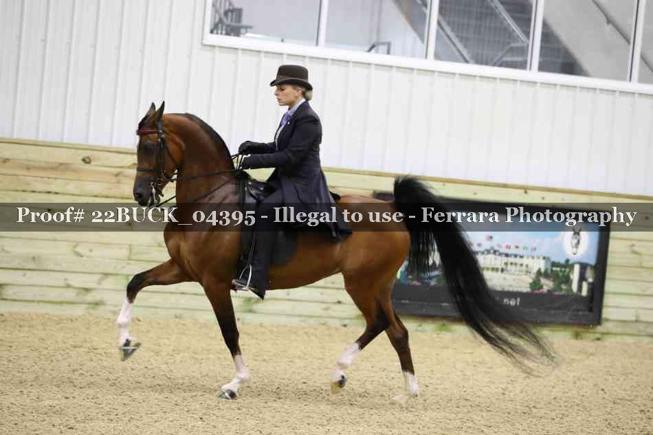 Proof 22BUCK_04395