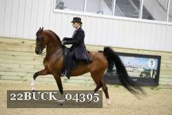 22BUCK_04395 proof