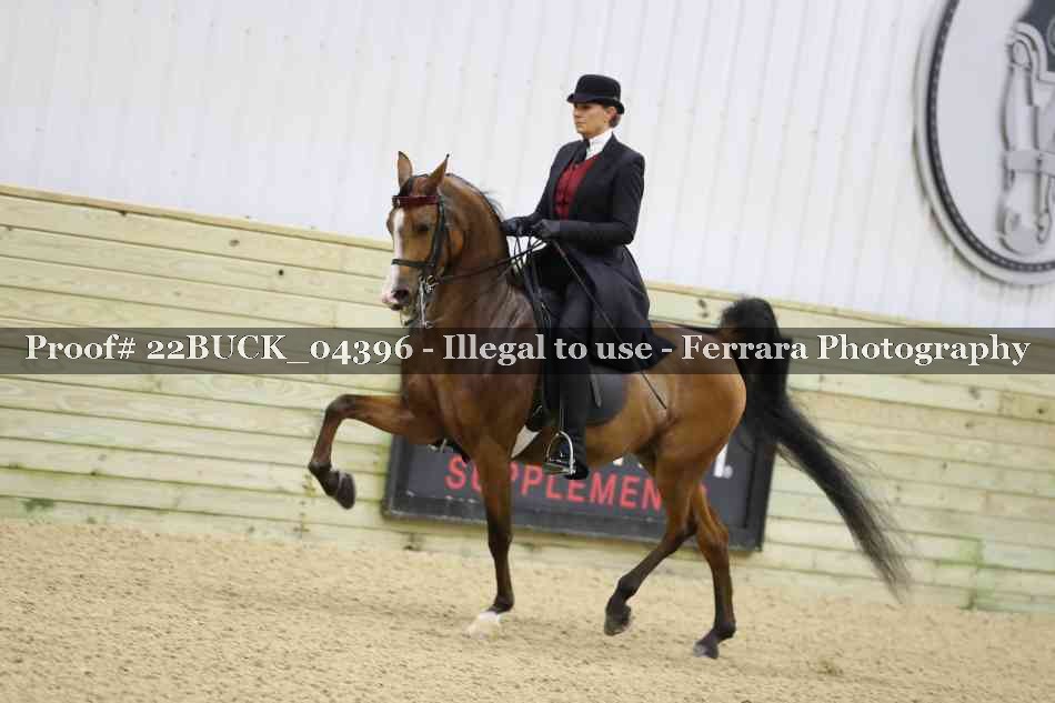 Proof 22BUCK_04396