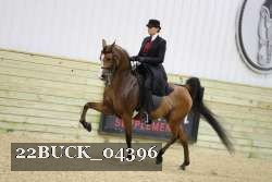 22BUCK_04396 proof