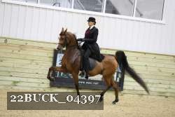 22BUCK_04397 proof