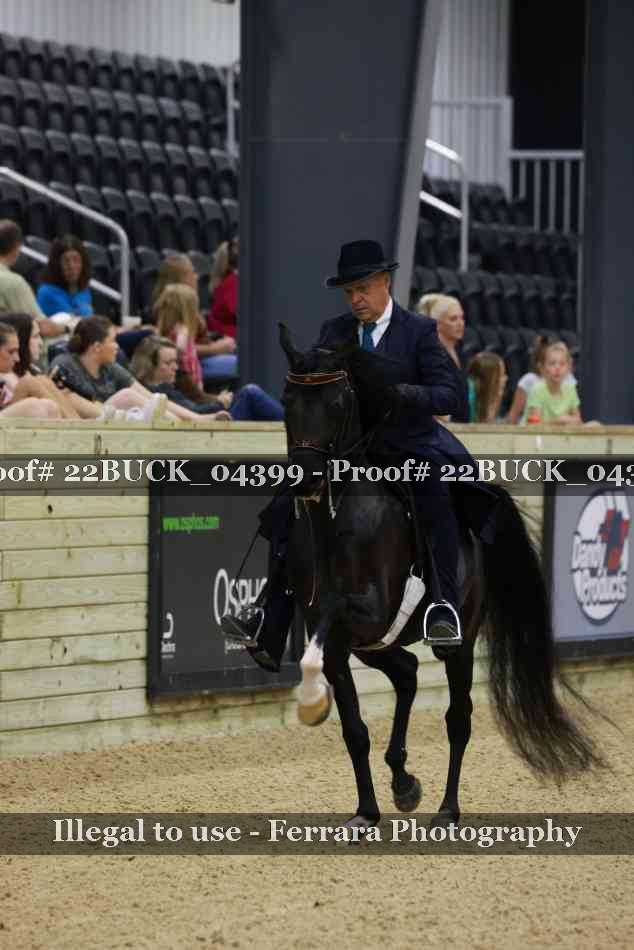 Proof 22BUCK_04399