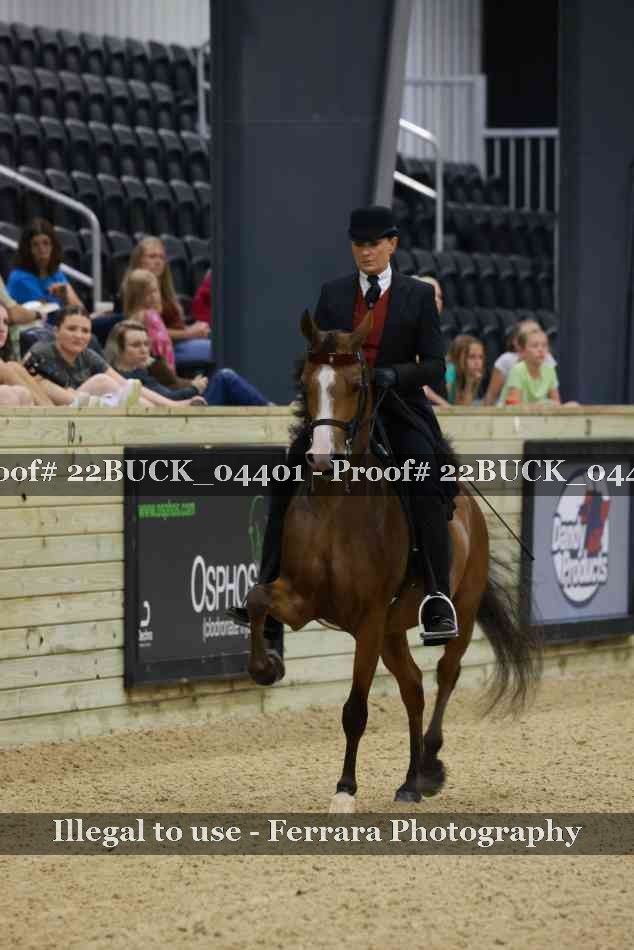 Proof 22BUCK_04401