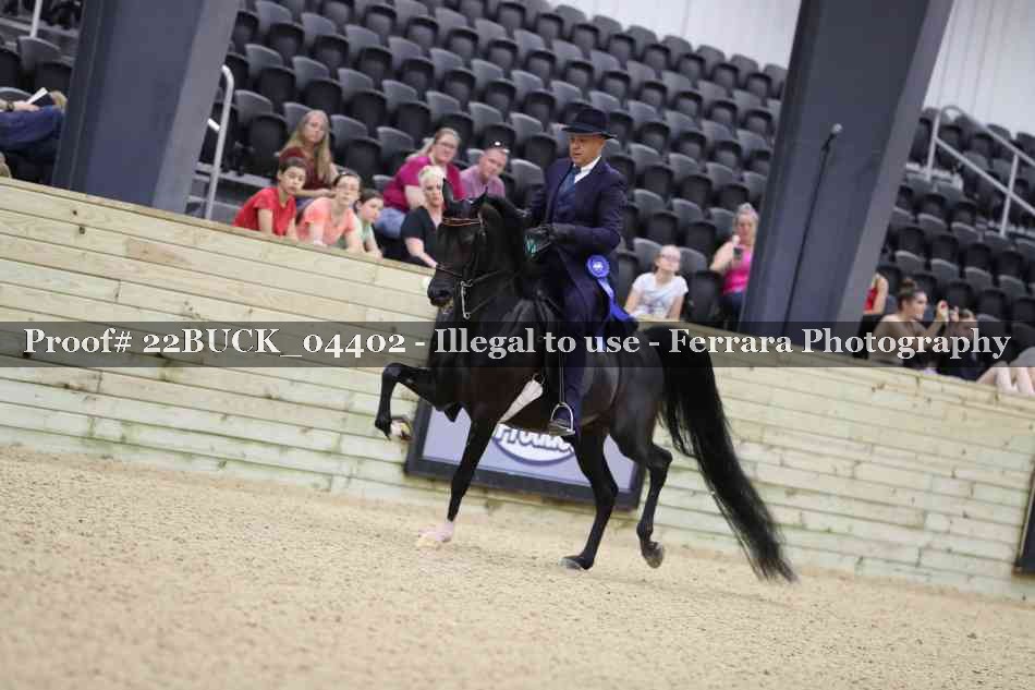 Proof 22BUCK_04402