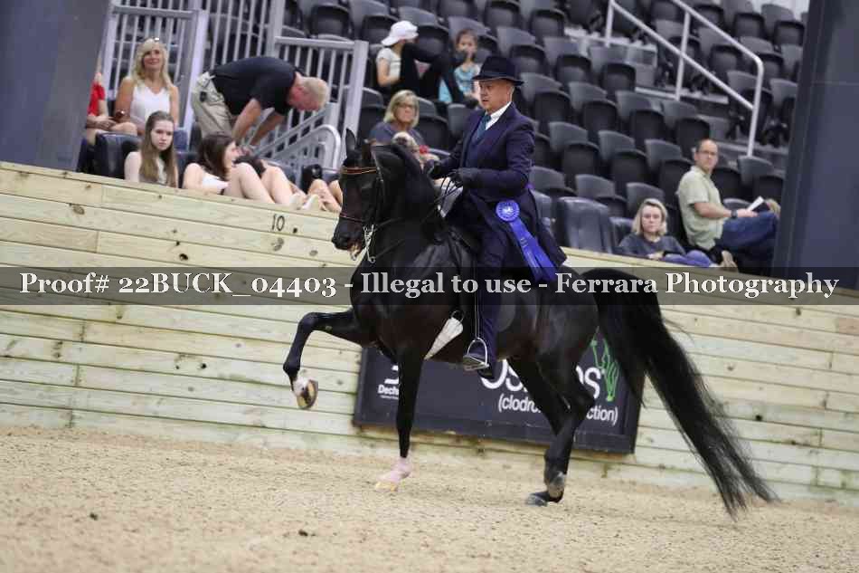Proof 22BUCK_04403