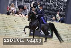 22BUCK_04403 proof