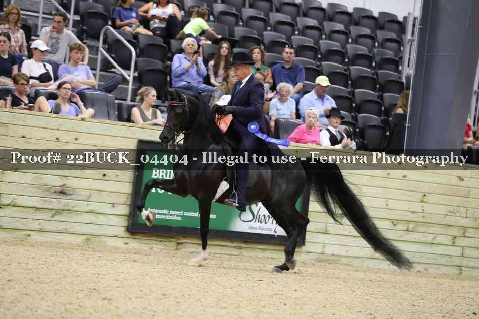 Proof 22BUCK_04404