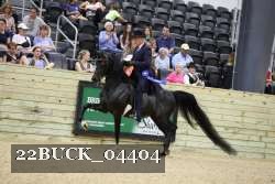 22BUCK_04404 proof
