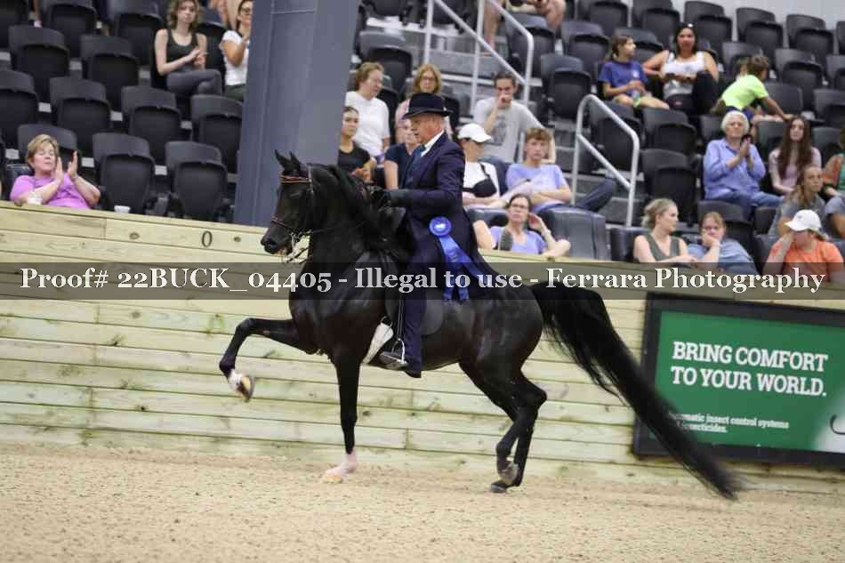 Proof 22BUCK_04405