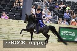 22BUCK_04405 proof