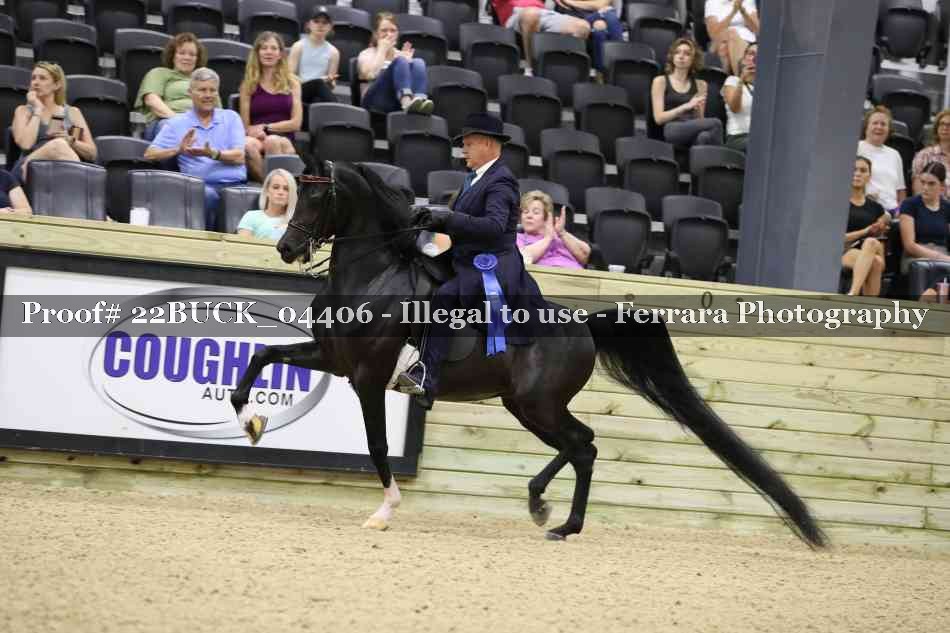 Proof 22BUCK_04406