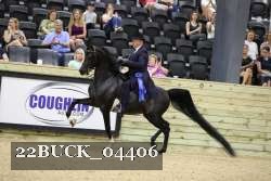 22BUCK_04406 proof