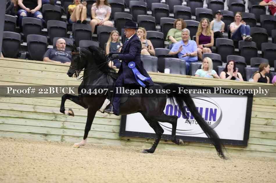 Proof 22BUCK_04407