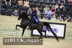 22BUCK_04407 proof