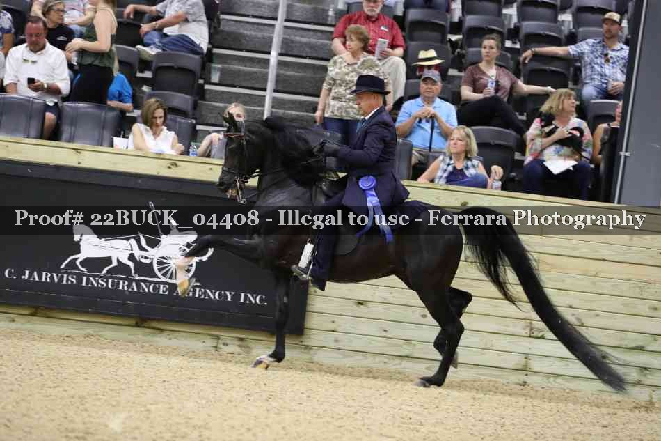 Proof 22BUCK_04408