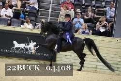 22BUCK_04408 proof