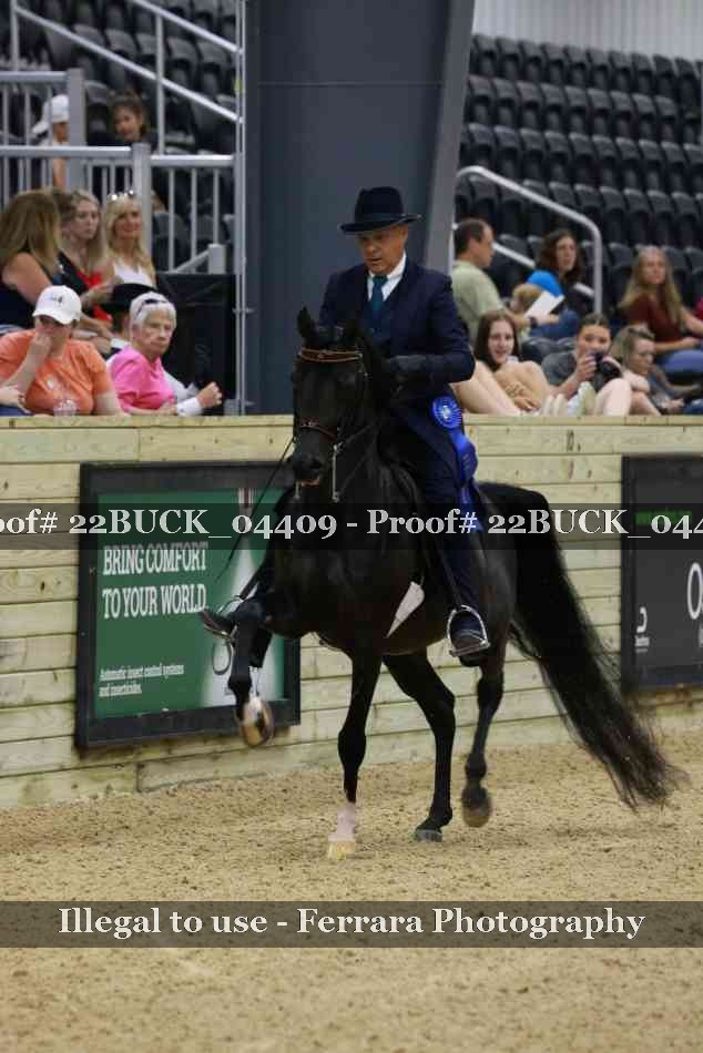 Proof 22BUCK_04409