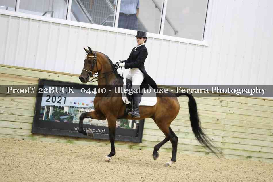 Proof 22BUCK_04410
