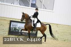 22BUCK_04410 proof