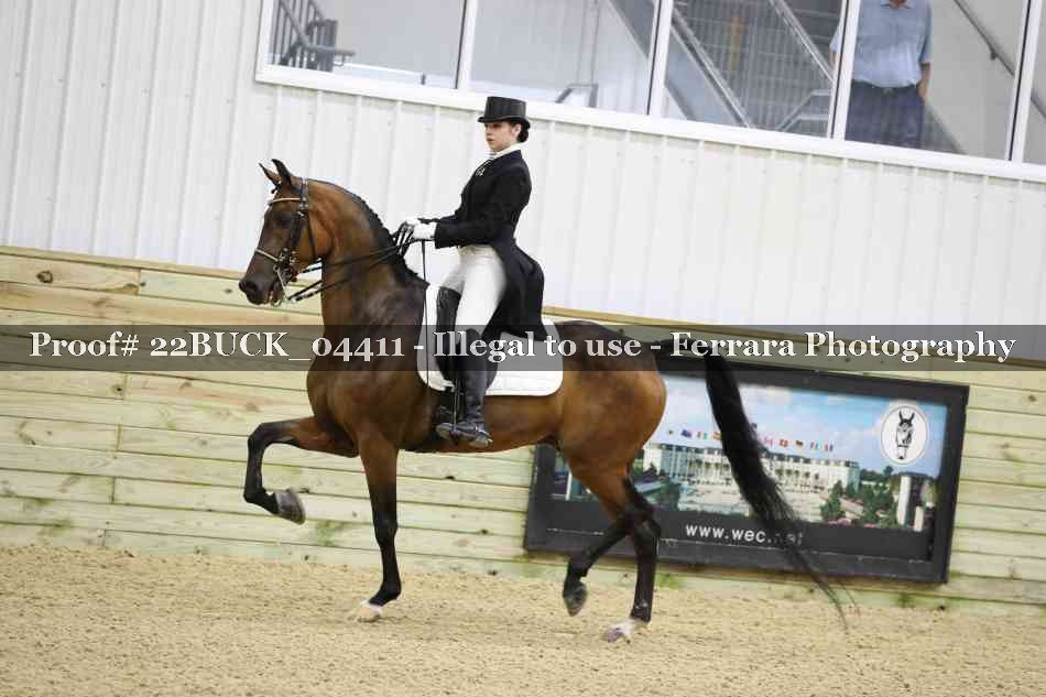 Proof 22BUCK_04411