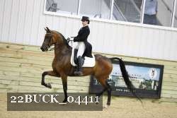22BUCK_04411 proof